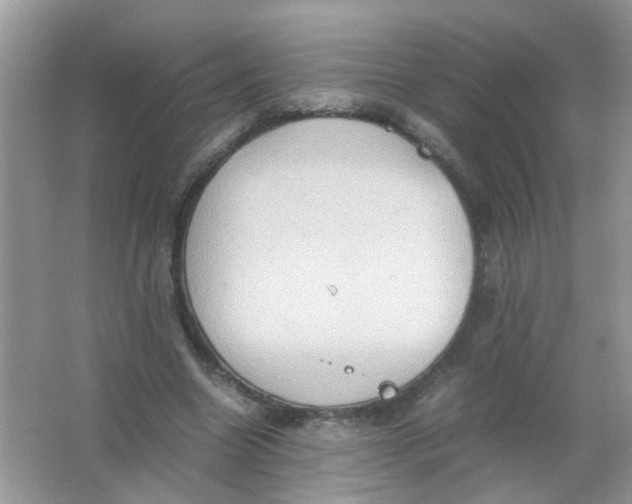 X0000065960538200603241849