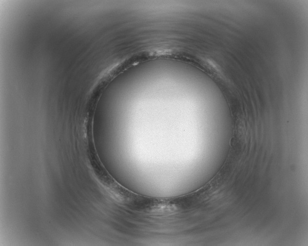 X0000065960543200603241850