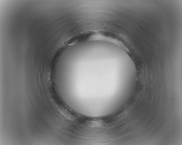 X0000065960548200603241850