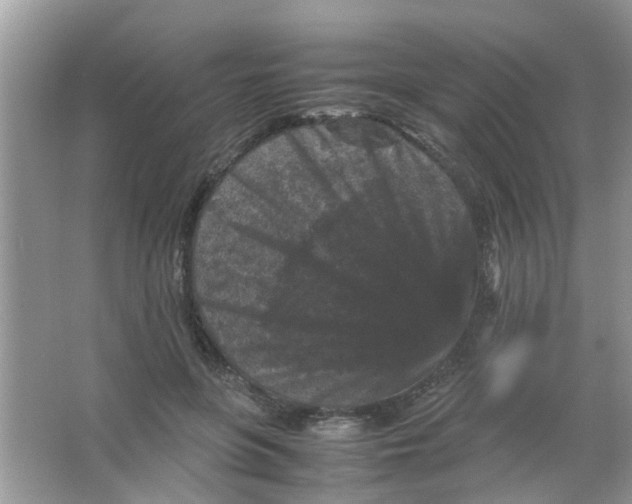 X0000065960551200603241850