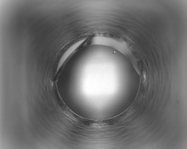 X0000065960556200603241850
