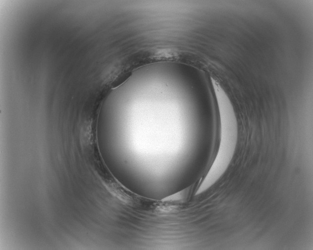 X0000065960560200603241850