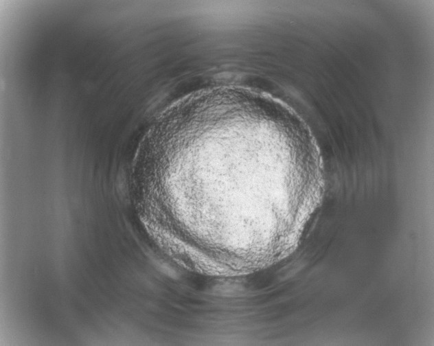 X0000065960573200603241850