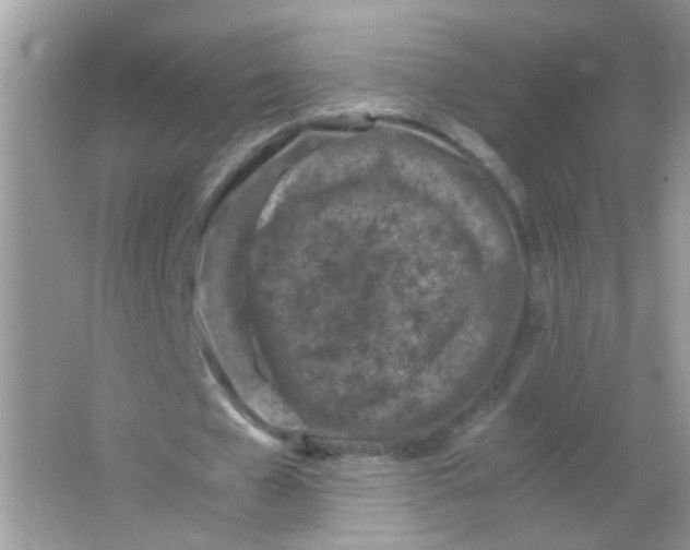 X0000065960577200603241849