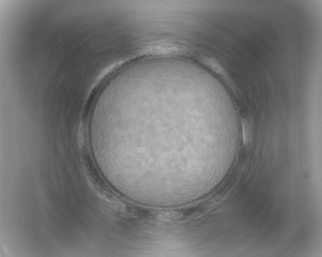 X0000065960579200603241849