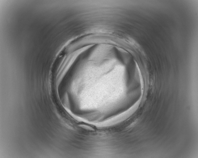 X0000065960580200603241849