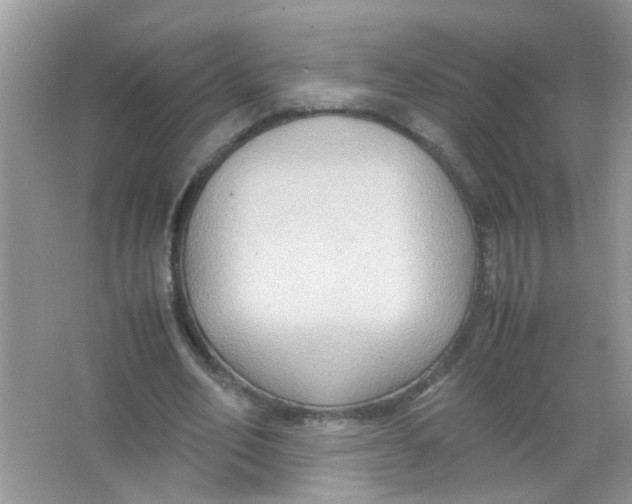 X0000065960582200603241849