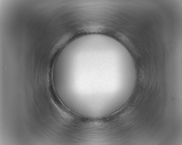 X0000065960586200603241849