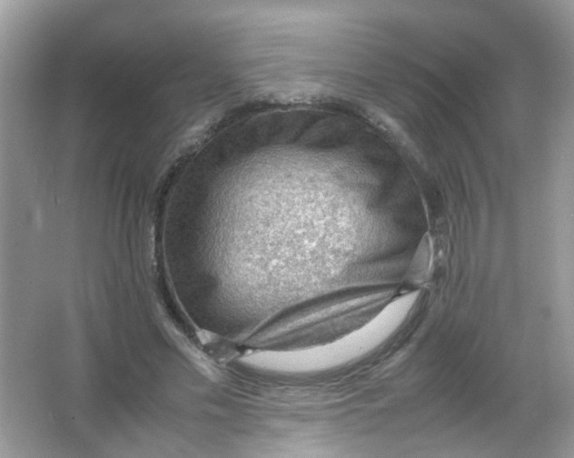 X0000065960589200603241849