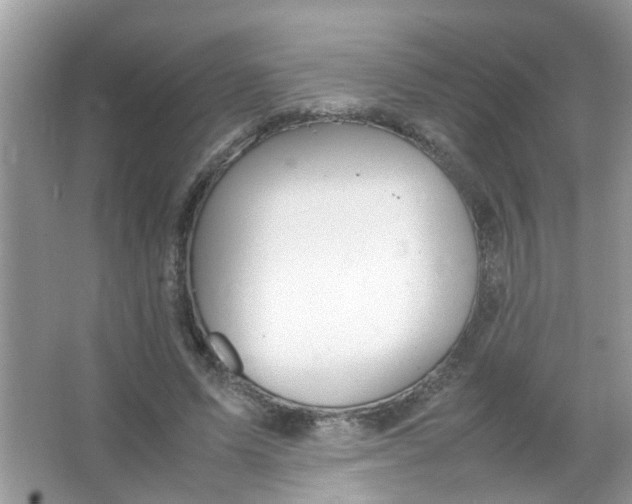 X0000065960591200603241849