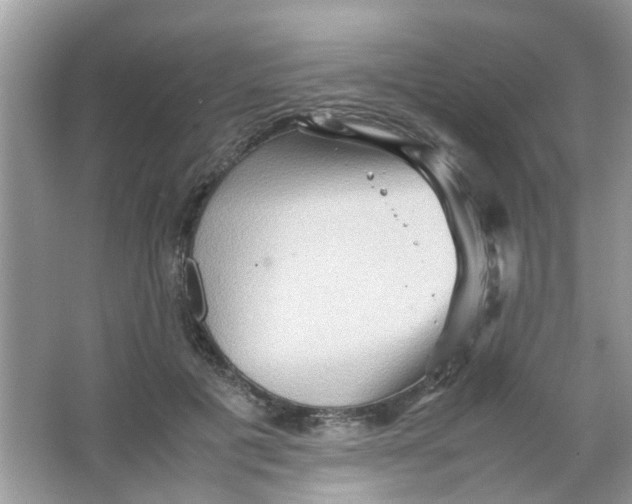 X0000065960601200603241849