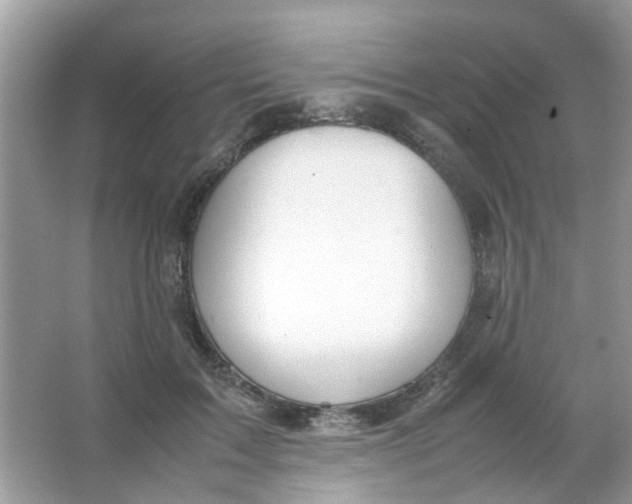 X0000065960603200603241849