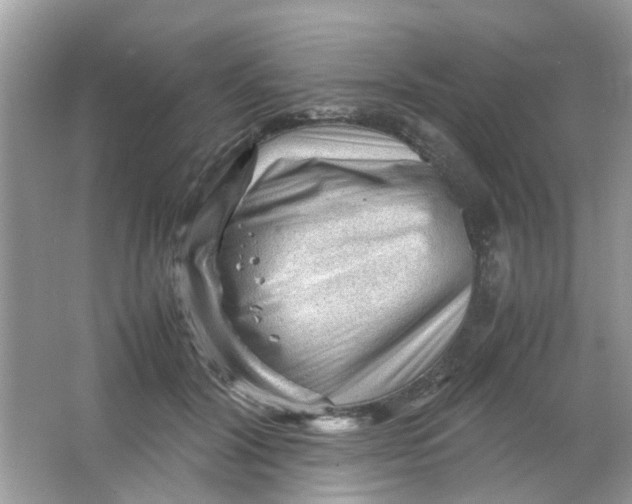 X0000065960604200603241849