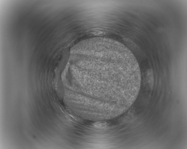 X0000065960606200603241849