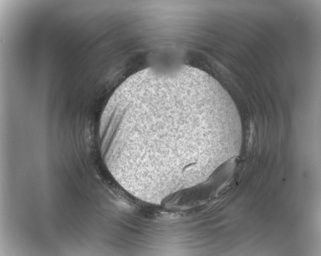 X0000065960608200603241849