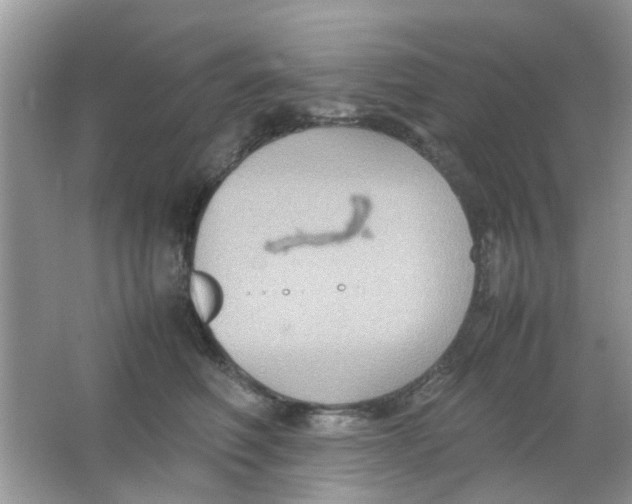 X0000065960614200603241849