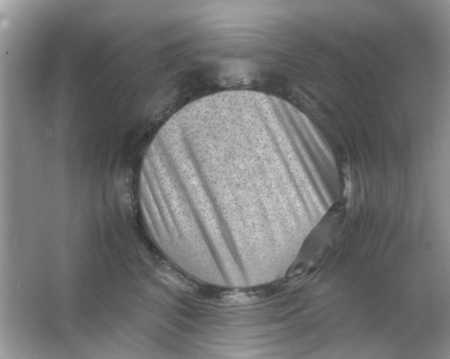 X0000065960616200603241849