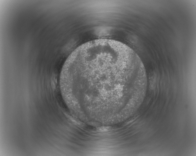 X0000065960618200603241849