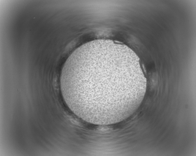 X0000065960619200603241849