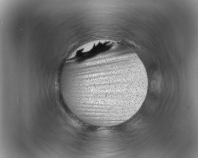 X0000065960620200603241849