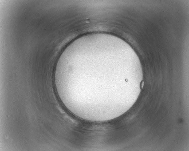 X0000065960625200603241848