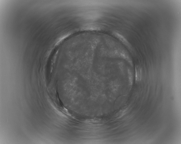 X0000065960627200603241848