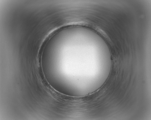 X0000065960628200603241848