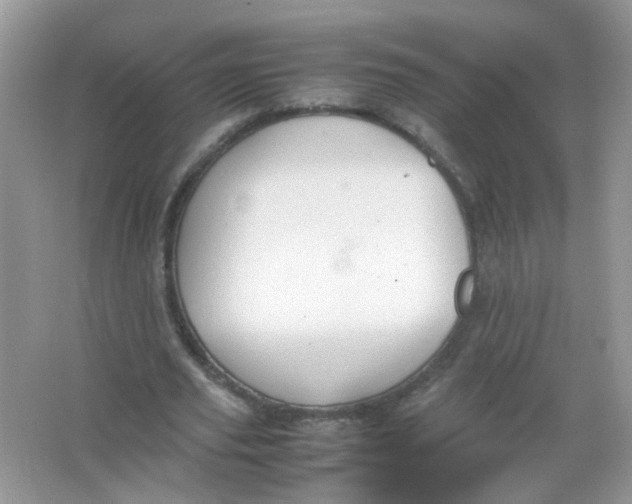 X0000065960629200603241848