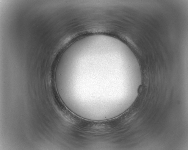 X0000065960631200603241848