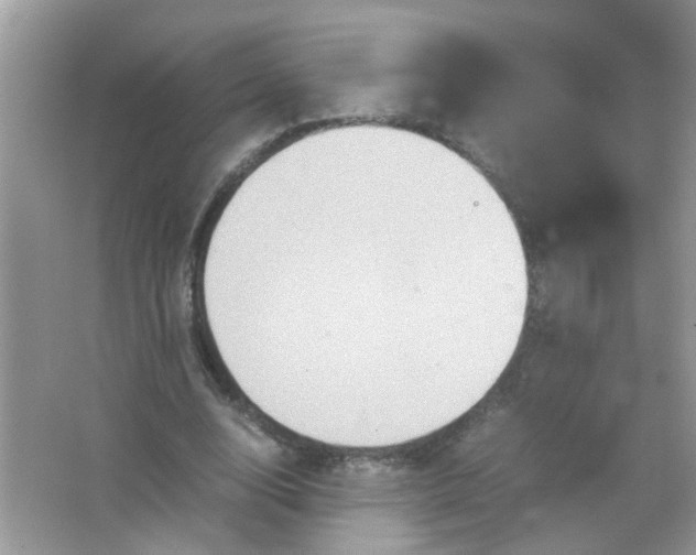 X0000065960632200603241848