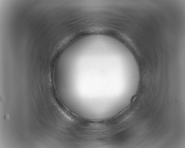 X0000065960633200603241848