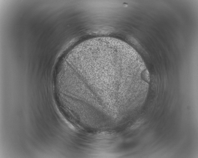 X0000065960634200603241848