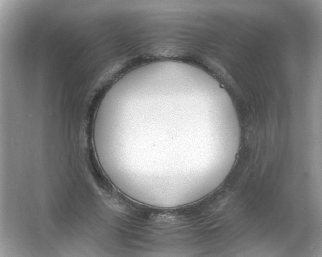 X0000065960635200603241848