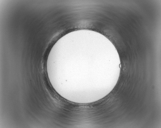 X0000065960636200603241848