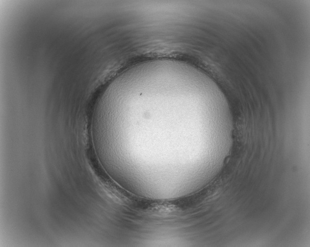 X0000065960642200603241848