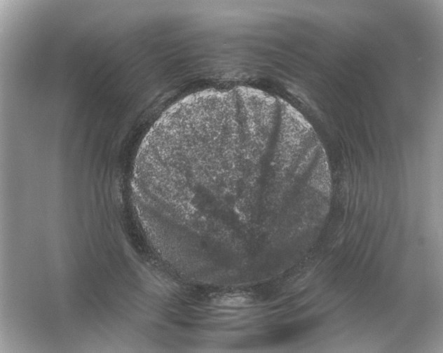 X0000065960643200603241848