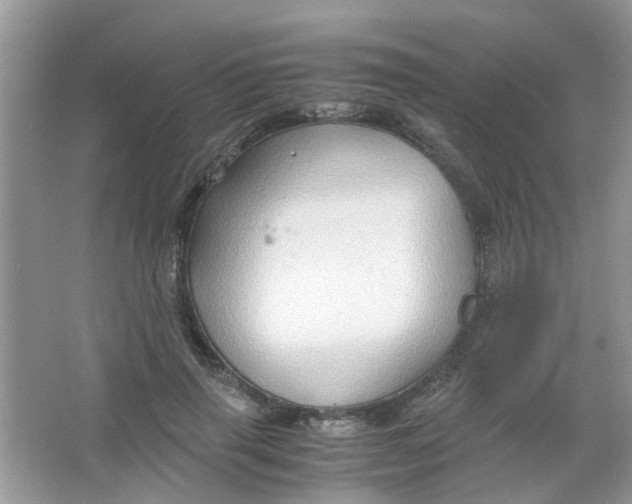 X0000065960645200603241848