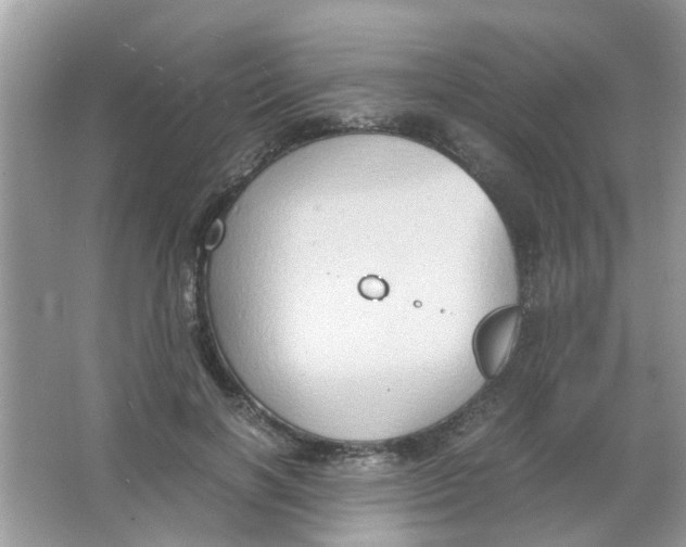 X0000065960646200603241848