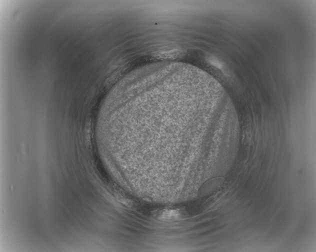 X0000065960647200603241848