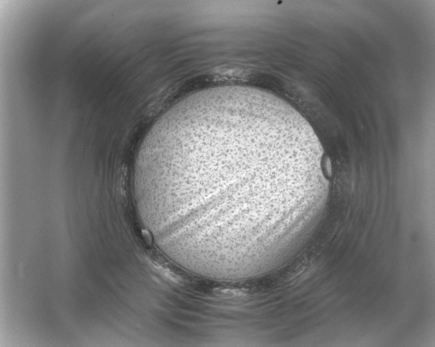 X0000065960649200603241848