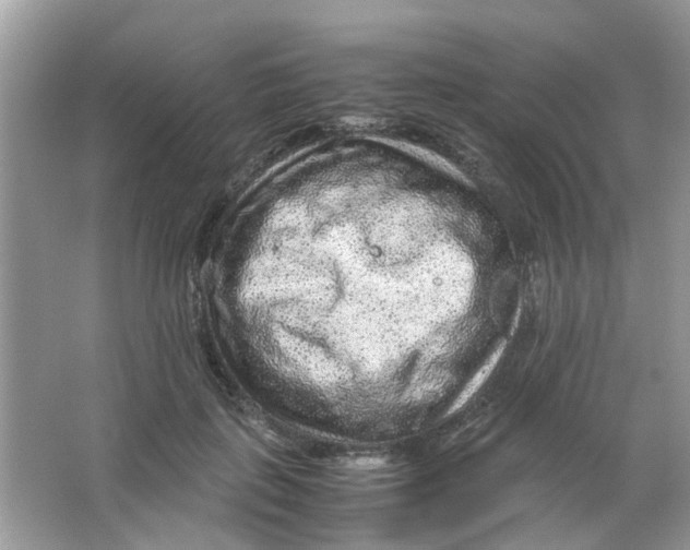 X0000065960651200603241848