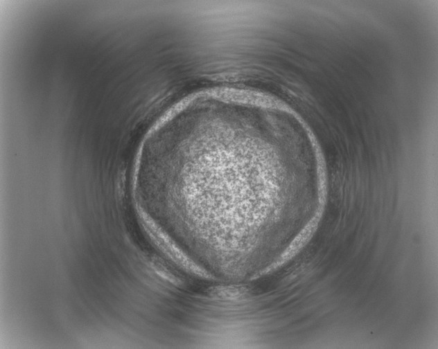 X0000065960652200603241848