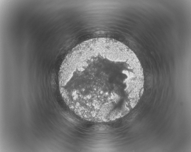 X0000065960654200603241848