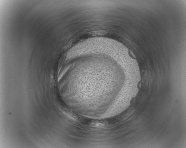 X0000065960655200603241848