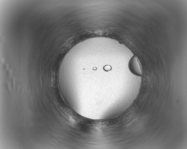 X0000065960656200603241848