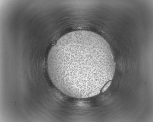 X0000065960657200603241848