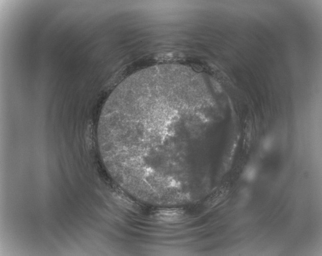 X0000065960659200603241848