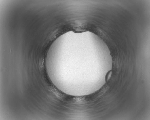 X0000065960660200603241848