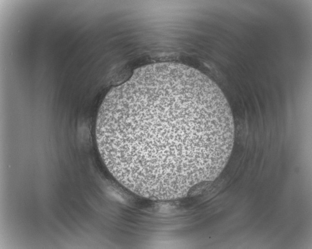 X0000065960662200603241848