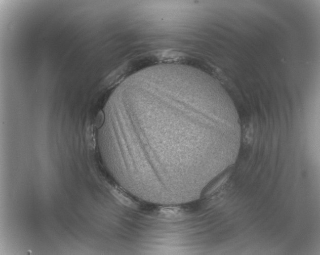 X0000065960666200603241848